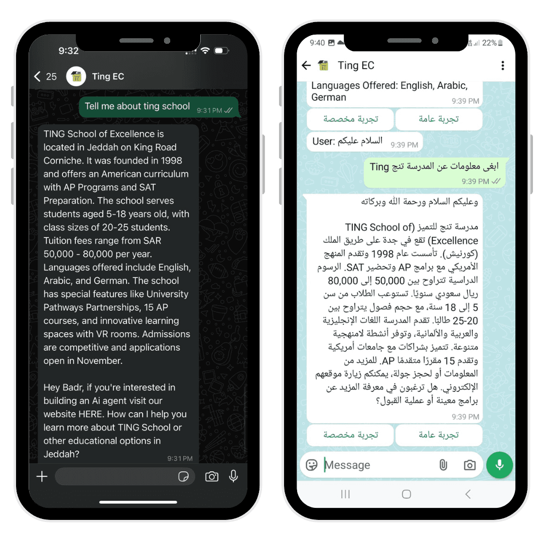 Ting EC WhatsApp Chatbot